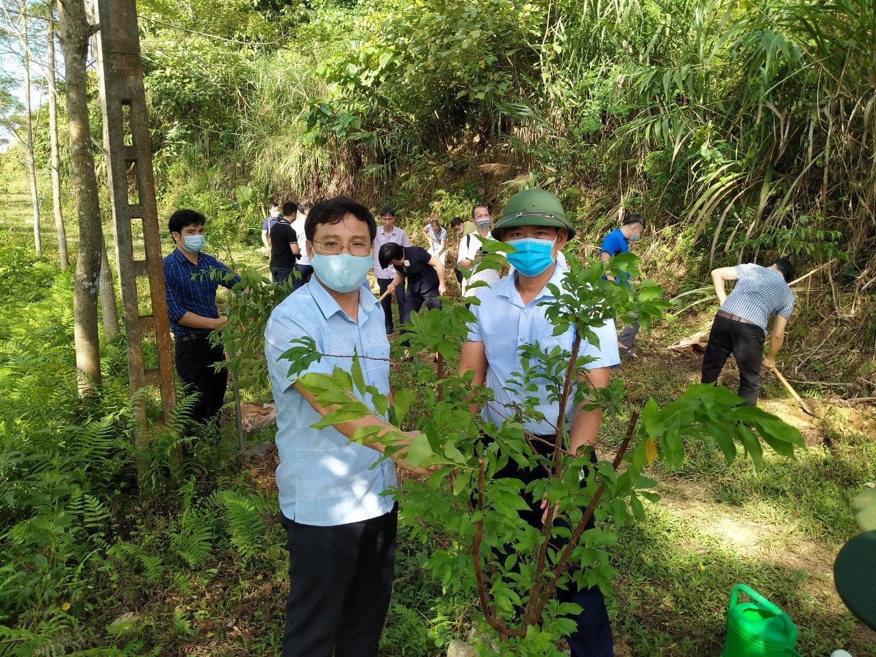 Lâm Bình trồng 1.500 cây xanh